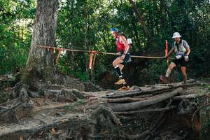 BIB: 
                            <button type="button" onclick="openModal(27751146)" class="btn btn-primary btn-sm float-right btn-popup" data-toggle="modal" data-target=".modal-high-quality">
                        <i class="fas fa-shopping-cart"></i> Add to Cart
                    </button>
                                            <button type="button" onclick="isThisMe(27751146, true)" class="btn btn-success btn-sm float-right btn-popup btn-isme hidden" data-toggle="tooltip" data-placement="bottom" title="นี่คือรูปของคุณใช่ไหม คลิกที่นี่เพื่อเอาเข้าอัลบั้ม">
                        <i class="fas fa-plus"></i> Add to album
                    </button>
                    <button type="button" onclick="isThisMe(27751146, false)" class="btn btn-warning btn-sm float-right btn-popup btn-isnotme hidden">
                        <i class="fas fa-ban"></i> Remove from album
                    </button>